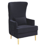 TOV Furniture Alina Tall Tufted Back Chair