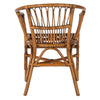Hickey Rattan Accent Chair Set of 2