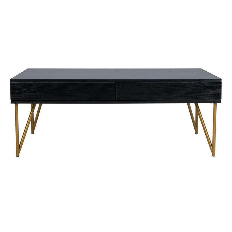 Lena Two Drawer Coffee Table
