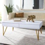 Lena Two Drawer Coffee Table