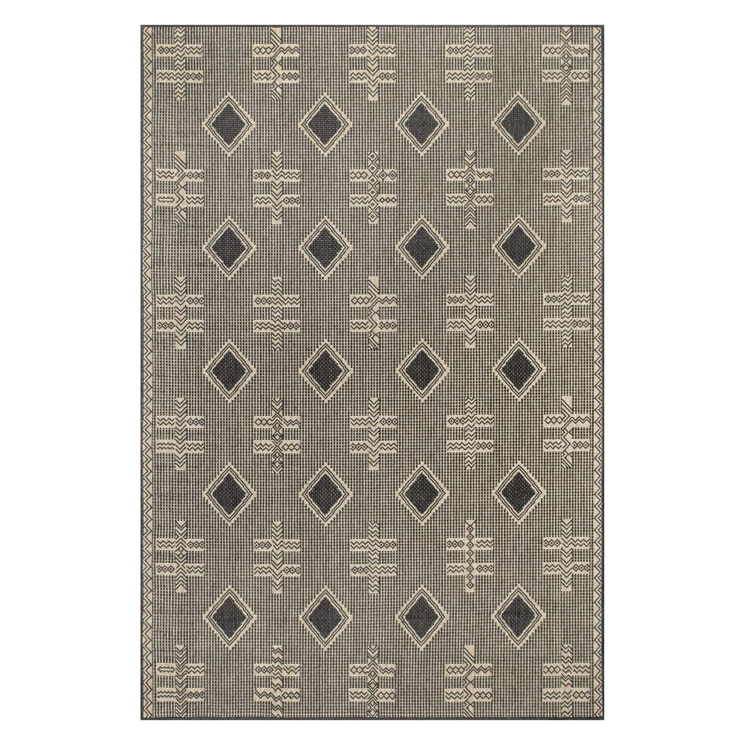Danford Indoor/Outdoor Rug