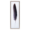 Drury Feather I Framed Wall Art