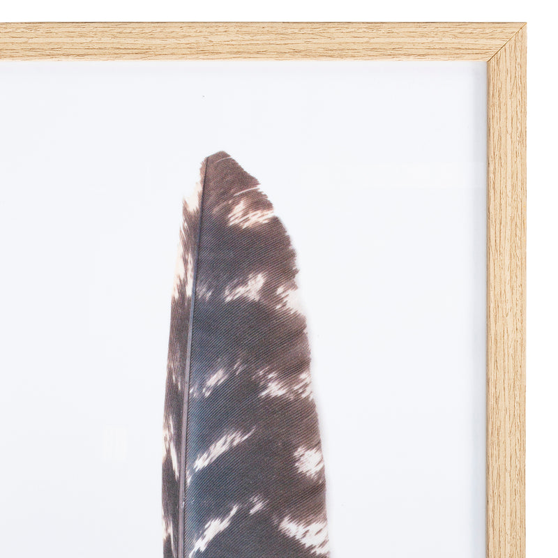 Drury Feather II Framed Wall Art