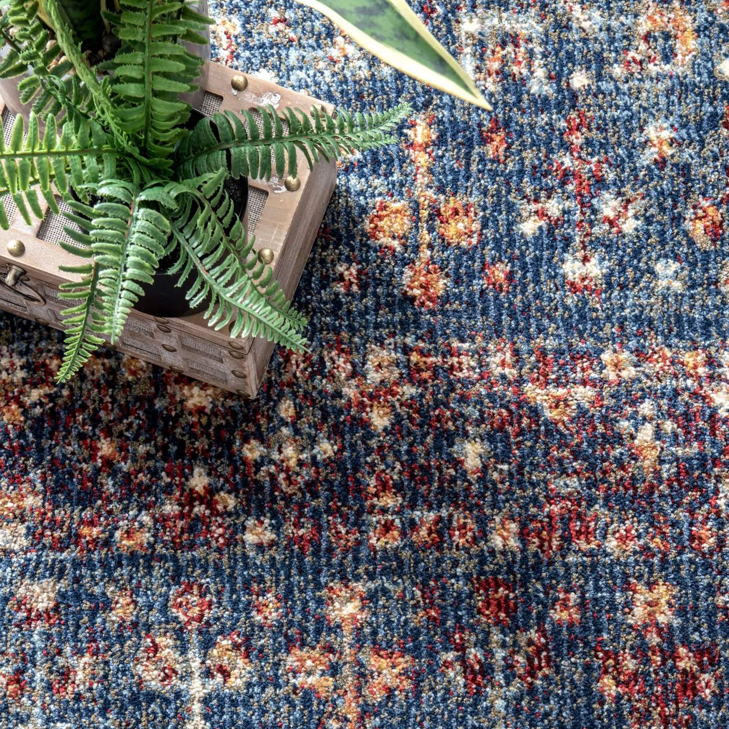 Schafer Machine Made Rug