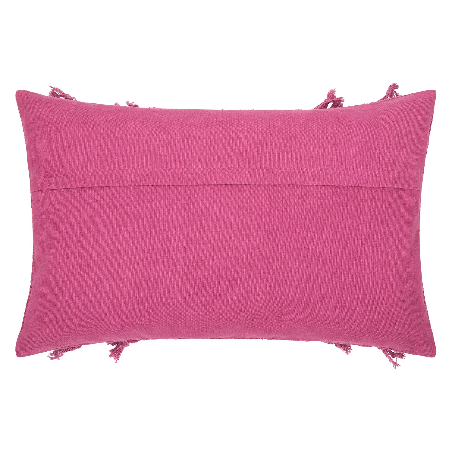 Sanpete Tassel Throw Pillow