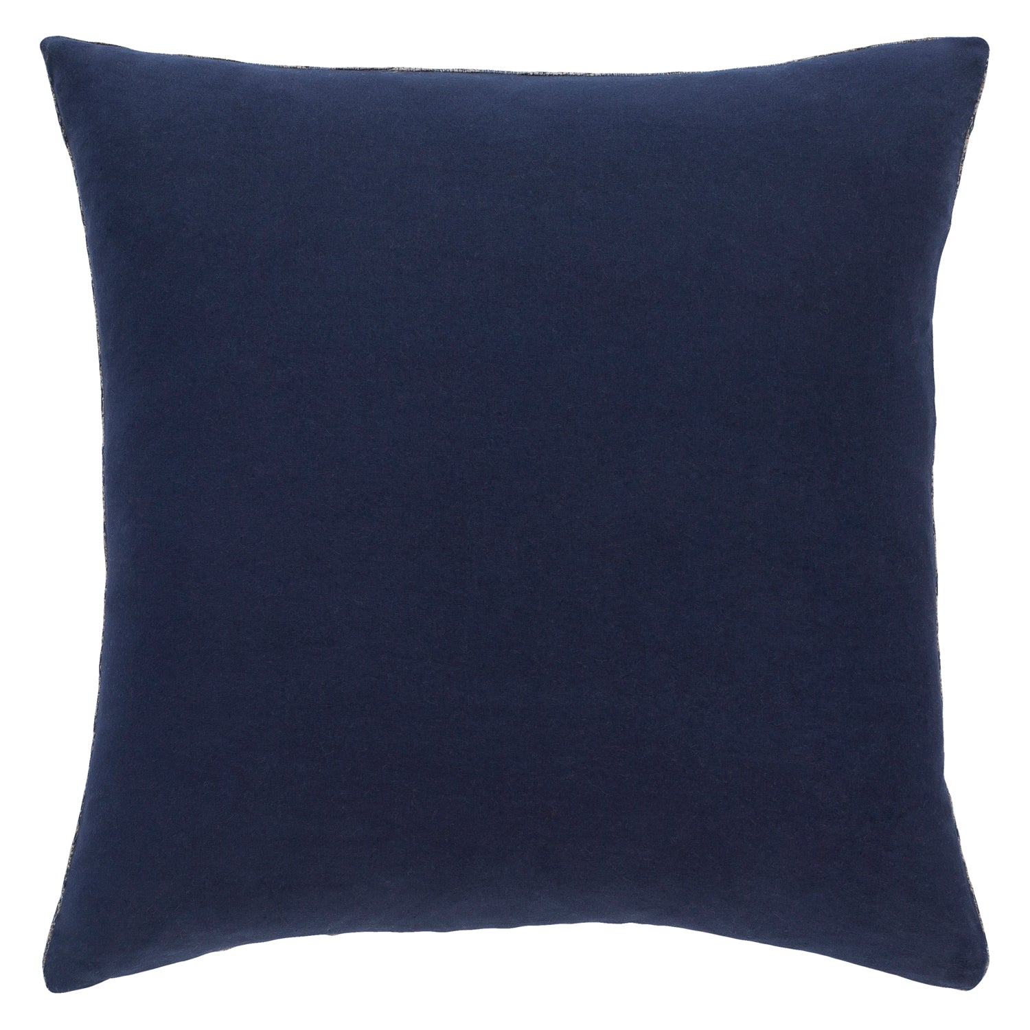 Tamed Zebra Throw Pillow