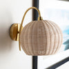 Harvest Wall Sconce