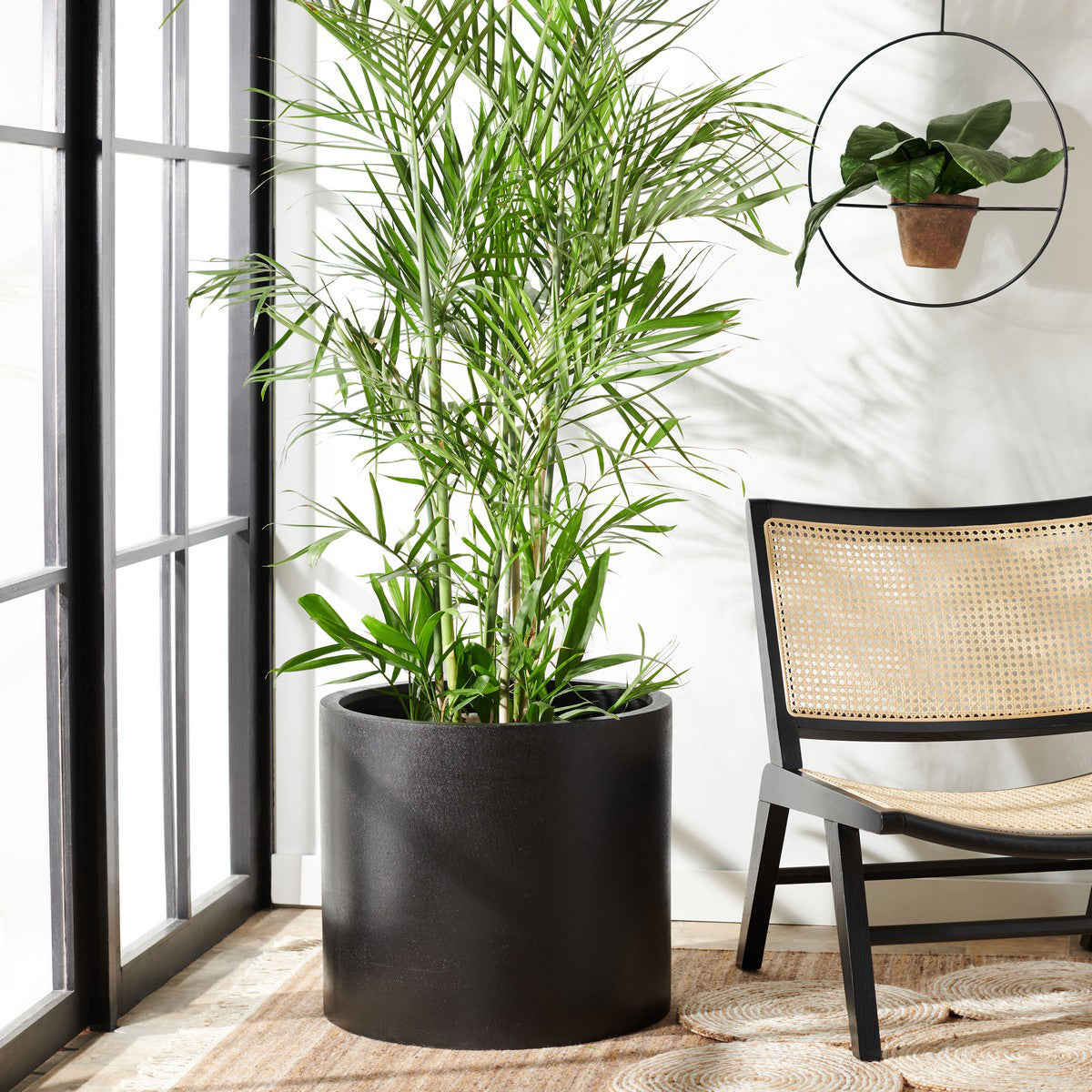 Ascot Indoor/Outdoor Planter