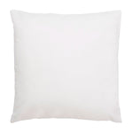Kaiden Indoor/Outdoor Throw Pillow